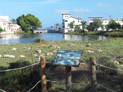 Apartament La Gola House Port de Pollença Zewnętrze zdjęcie